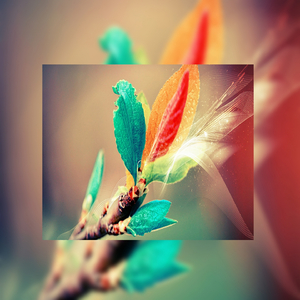 国产福利姬在线观看
